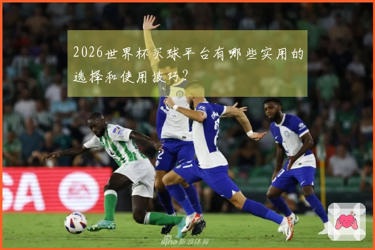 2026世界杯买球平台有哪些实用的选择和使用技巧？