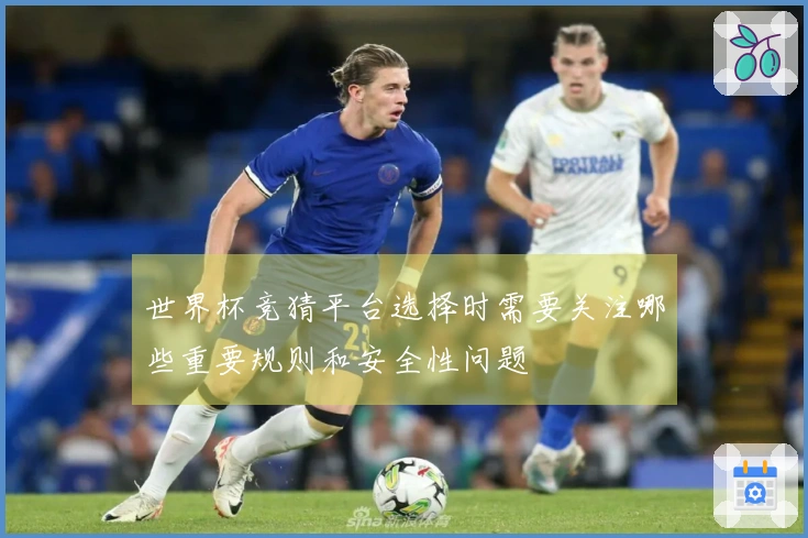世界杯竞猜平台选择时需要关注哪些重要规则和安全性问题